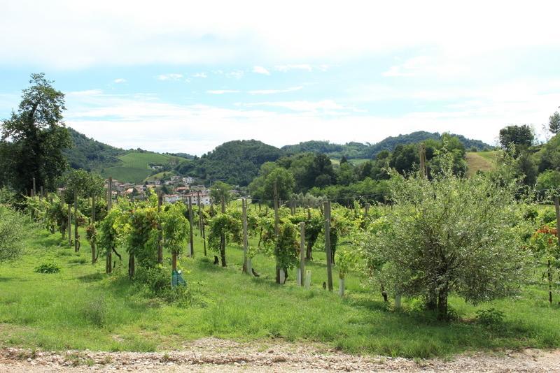 Agriturismo Mazzeracca Bassano del Grappa Exteriér fotografie